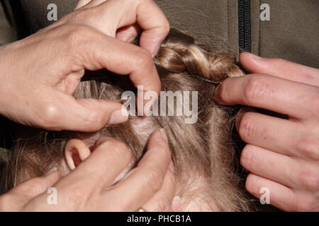 Head lice infection common in young people. Hair being checked using a special head lice comb. Stock Photo