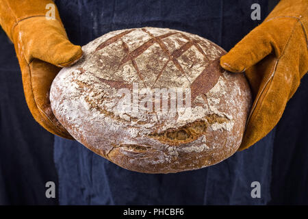 Freshly backed Farmhouse Bread hold in hand with oven gloves Stock Photo