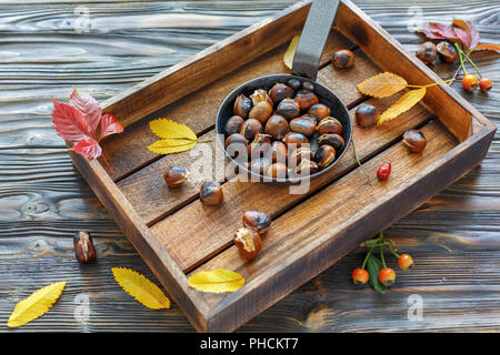 Delicious roasted chestnuts in a cast iron skillet. Stock Photo