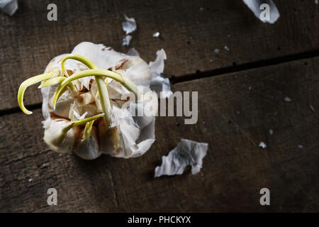 old sprouting garlic on wooden table Stock Photo