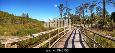 Boardwalk path at Corkscrew Swamp Sanctuary in Naples Stock Photo