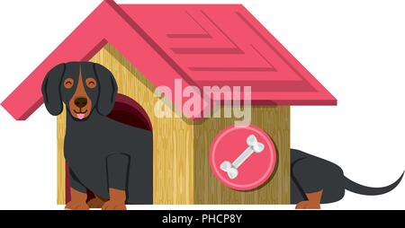 Dog House With Cute Dachshund Over White Background Vector