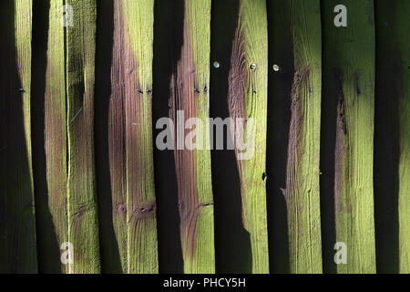 Green painted plank wall Stock Photo