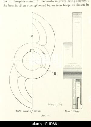Archive image from page 192 of The anatomy, physiology, morphology and ...