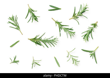 Rosemary Isolated on White Background Stock Photo