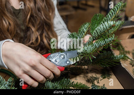Florist cuts with scissors green spruce branch for Advent decoration Stock Photo