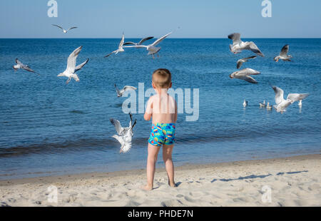 Little caucasian boy feeding seagulls Stock Photo