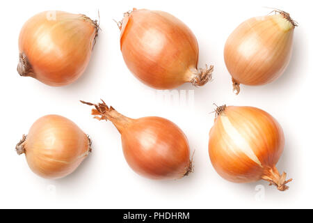 Onion Bulbs Isolated on White Background Stock Photo