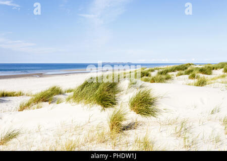 beach with dunes on Amrum, Germany Stock Photo
