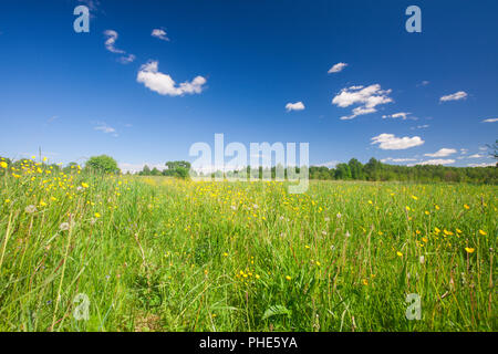 Green hill under blue cloudy sky whit sun Stock Photo - Alamy