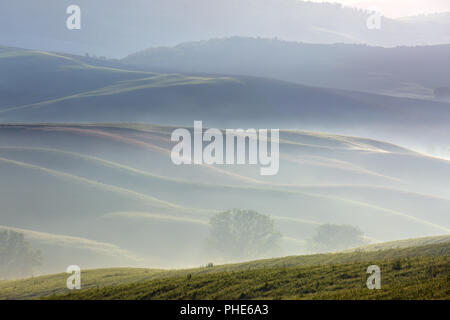 Tuscany foggy morning farmland hill landscape Stock Photo