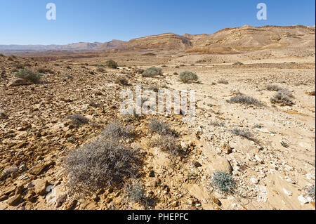 Rocky hills of the Negev Desert in Israel. Stock Photo