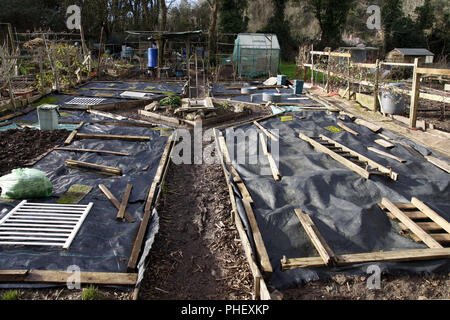 Allotment beds in Winter Stock Photo