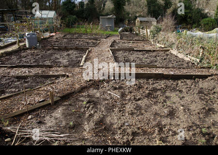 Allotment beds in Winter Stock Photo