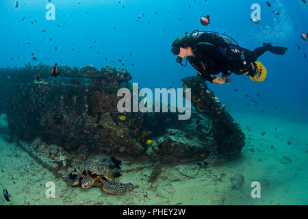 A diver (MR) on an underwater scooter and a green sea turtle, Chelonia mydas, at the Landing Craft wreck of Makena, Maui, Hawaii. Stock Photo