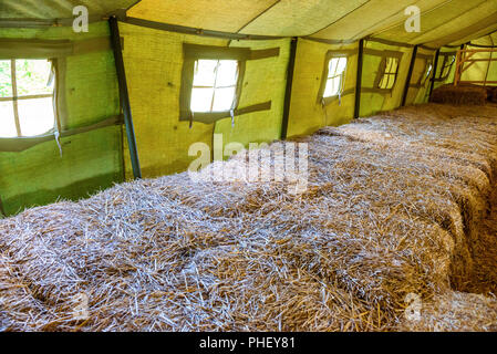 Inside of big military tent Stock Photo
