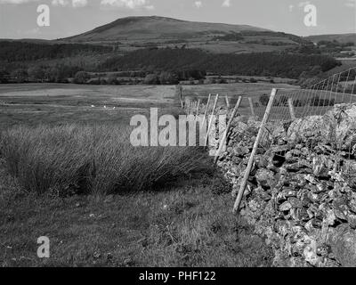 Looking towards Binsey along the length of a Dry Stone Wall, Northern Lake District National Park, Cumbria, England, United Kingdom Stock Photo