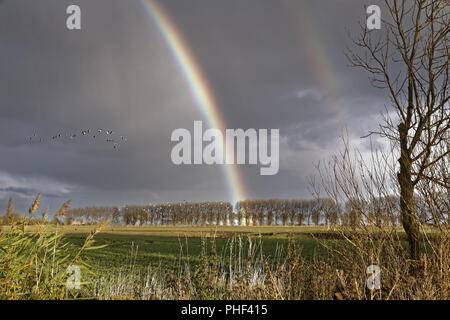 Rainbow in the fall Stock Photo