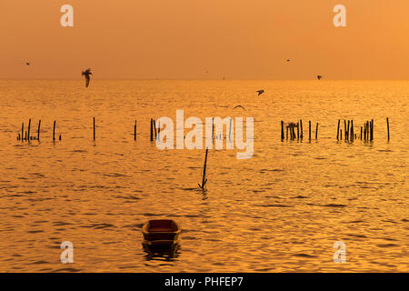 lonely wooden fisherman boat with the seagulls when sunset / sunrise on the sea a freedom and peaceful Stock Photo