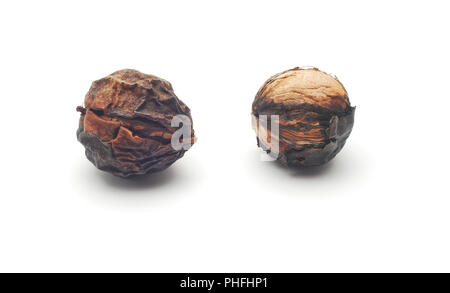 two rotten walnuts isolated on white Stock Photo