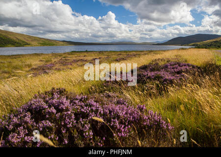 Stimmungen in den nordwestlichen Highlands Stock Photo