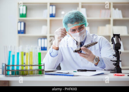 Forensics investigator working in lab on crime evidence Stock Photo