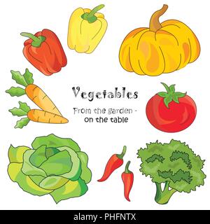 Color vector illustration. Vegetables icon on a white background Stock Vector