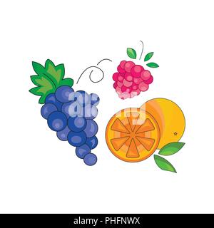 Color vector illustration. Fruit icon on a white background Stock Vector