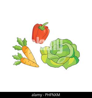 Color vector illustration. Vegetables icon on a white background Stock Vector
