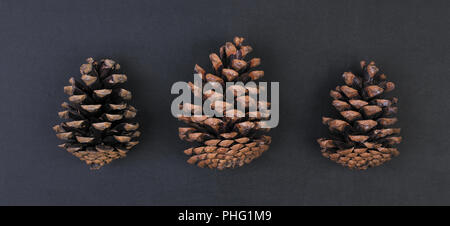 three fir cones isolated on black background Stock Photo