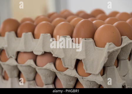 brown organic free-range eggs in egg carton Stock Photo