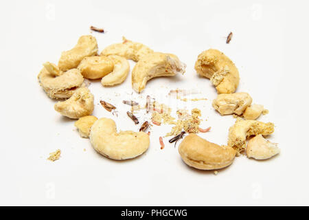 A picture of cashew nuts infested with caterpillars and butterflies of the meal moth. Isolated on a white background. Stock Photo