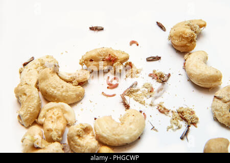 A picture of cashew nuts infested with caterpillars and butterflies of the meal moth. Isolated on a white background. Stock Photo