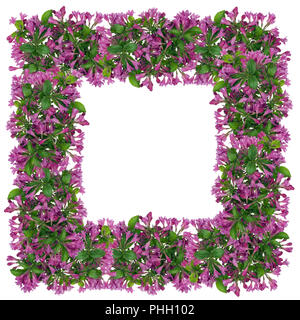 Easter frame from  pink bells flowers Stock Photo