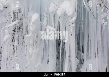Icicles on a tree Stock Photo