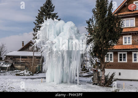 A tree covered with ice Stock Photo