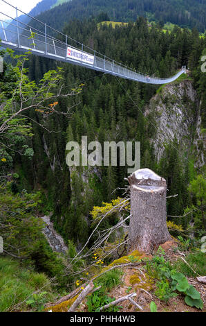 chainbridge; pendant bridge; swing bridge; Austria; Europe; Stock Photo