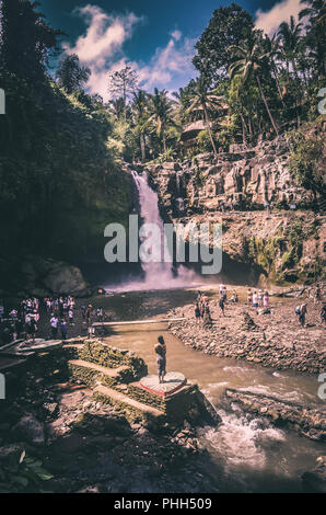 Bali Indonesia Villa Civet Coffee Food and Architecture Stock Photo