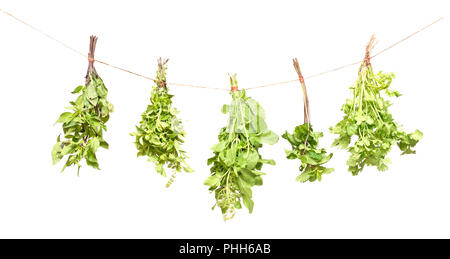 Fresh herbs Stock Photo