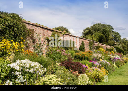 Long herbaceous border in summertime with perennial flowering plants and topiary shrubs in a walled garden. Stock Photo