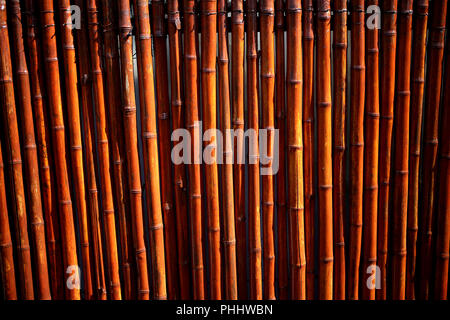 Bamboo stick fence in a garden of Buenos Aires, Argentina Stock Photo