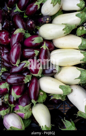 Solanum melongena. Aubergines for sale in a wooden crate. UK Stock Photo