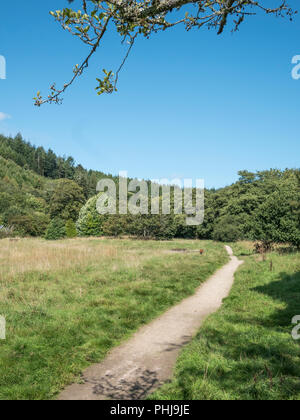 Footpath in the Cornish town of Lostwithiel. Long road ahead metaphor. Stock Photo