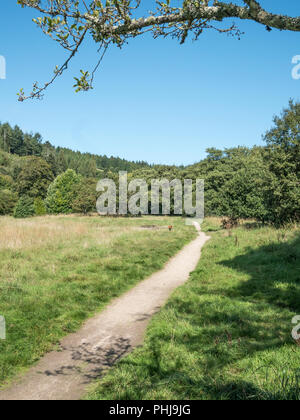 Footpath in the Cornish town of Lostwithiel. Long road ahead metaphor. Stock Photo