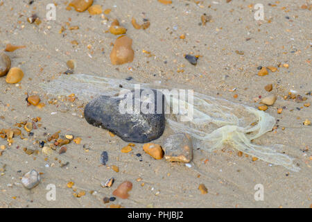 Grey and white pebble on beach draped with polythene bag washed up at low tide. Stock Photo