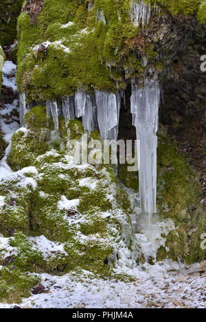 icicle; on moss; swabian alps; Germany; Stock Photo