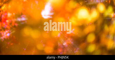 defocused red leaves, perfect autumn background Stock Photo