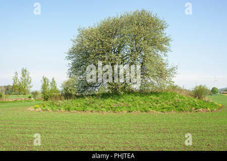 Sown field with a single tree in a rural landsca Stock Photo