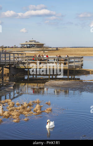 Visitors to Lake Horborgasjon in Sweden on a spring day Stock Photo