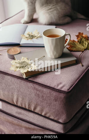 cup of tea with a book in the interior with autumn leaf, notebook and cat, hygge concept Stock Photo